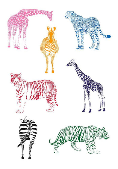 Zebra animals
